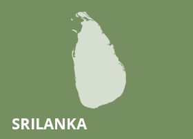 SRI LANKA: 22nd Amendment Bill – Fundamentals are wrong